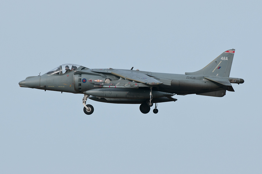 RAF Harrier GR9A ZD436 1 Sqn photo 2